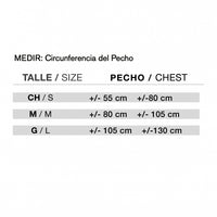 Espaldera Elástica Premium Body Care BC1066
